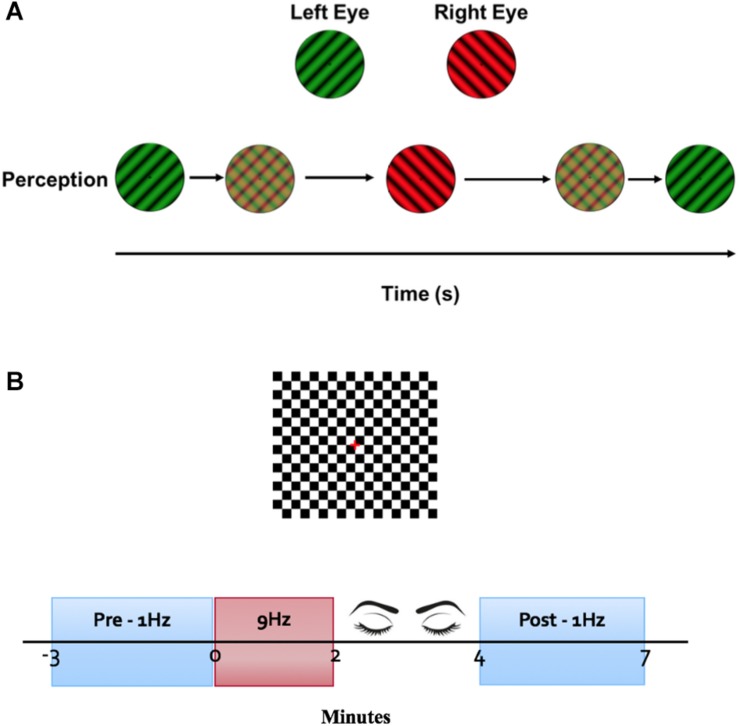 FIGURE 1