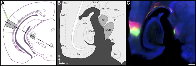 Figure 2.