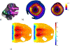 Fig. 13.