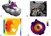 Fig. 10.