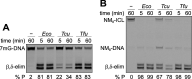 FIG 5