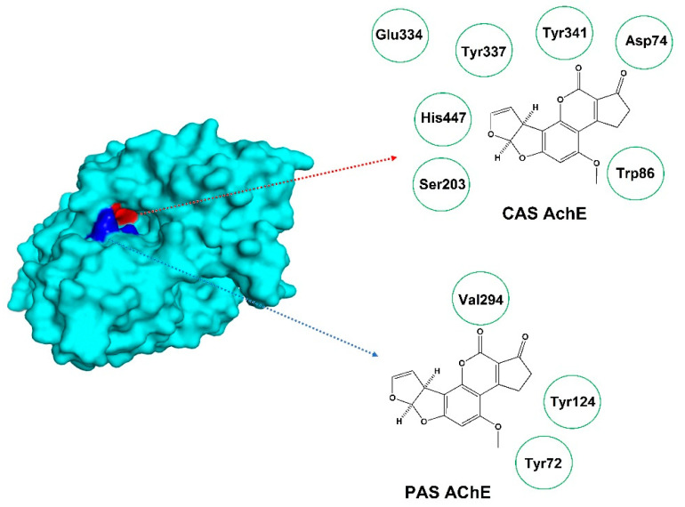 Figure 20