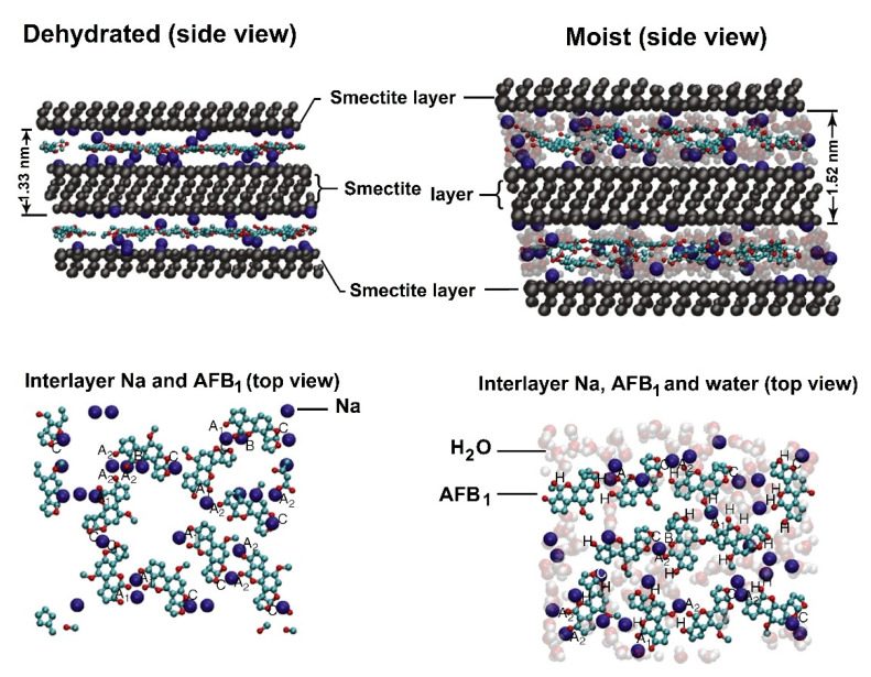 Figure 14