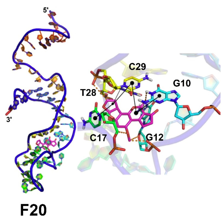 Figure 22