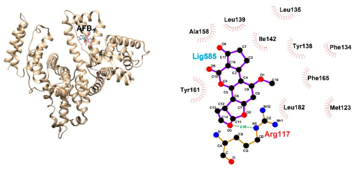 Figure 19