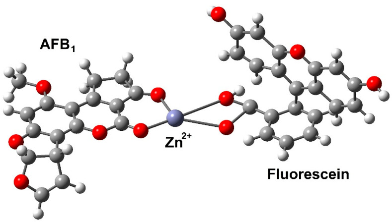 Figure 13