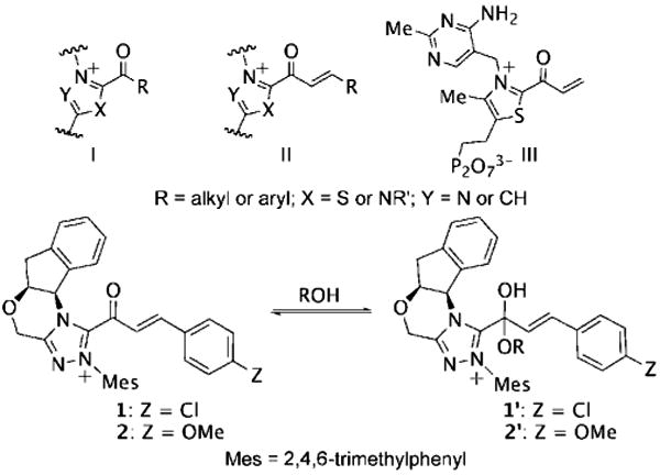 Scheme 1