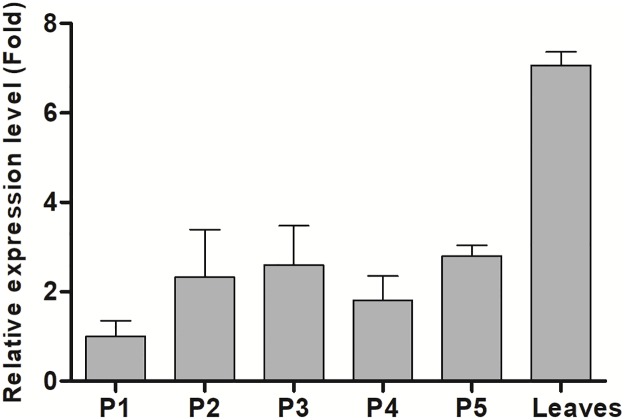 Fig 2