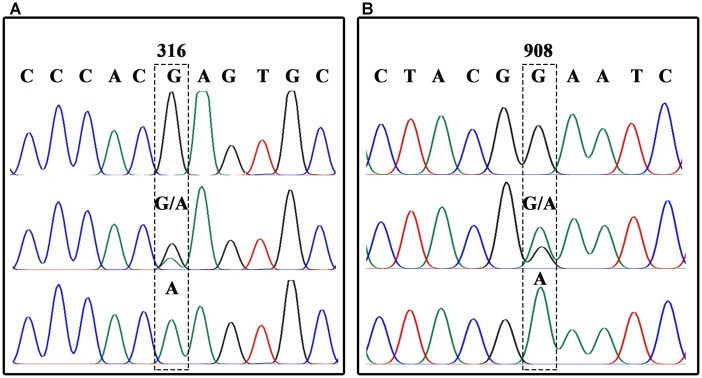 FIGURE 4