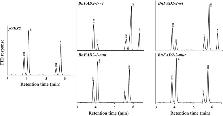 FIGURE 3