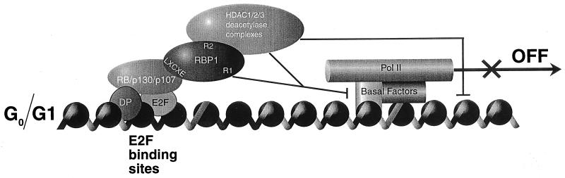 FIG. 6