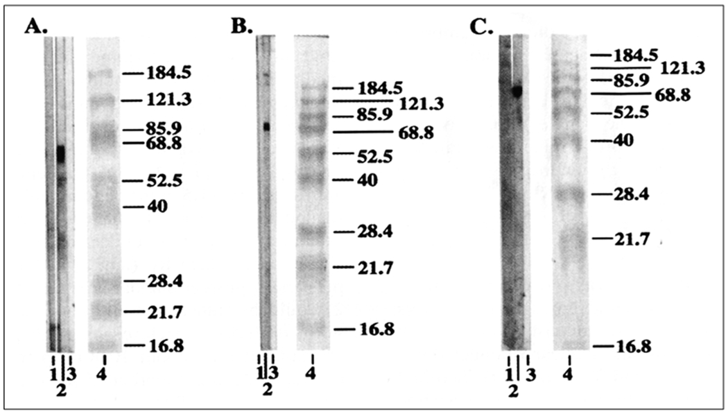 Figure 2: