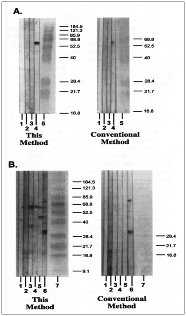 Figure 4: