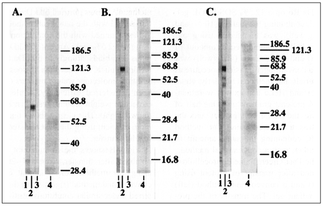 Figure 1: