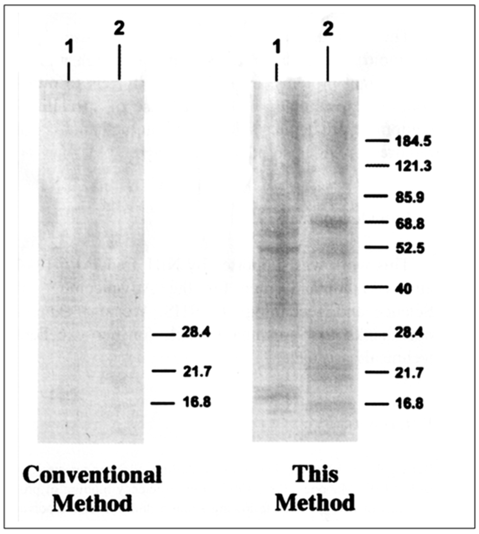 Figure 3: