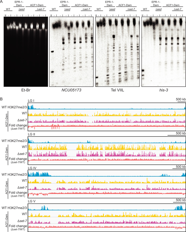 Figure 4—figure supplement 1.