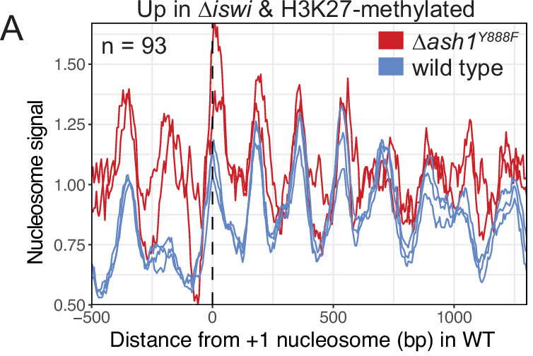 Figure 6—figure supplement 1.