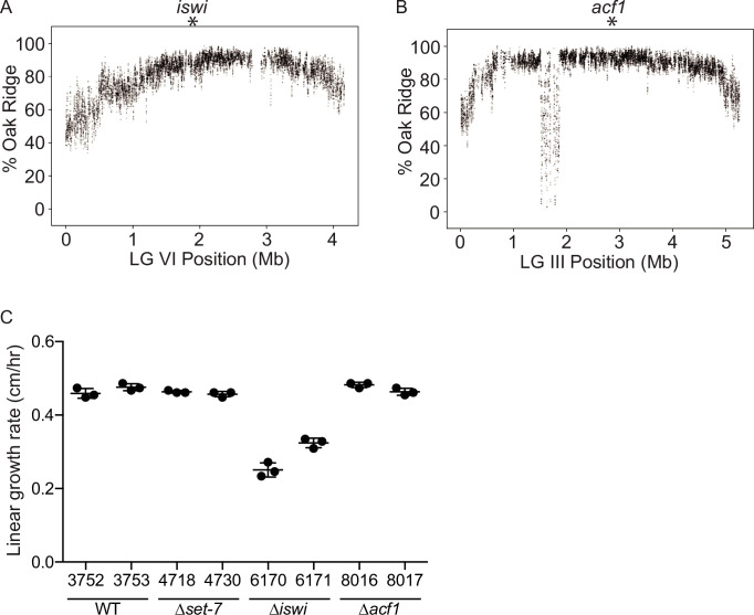 Figure 1—figure supplement 1.