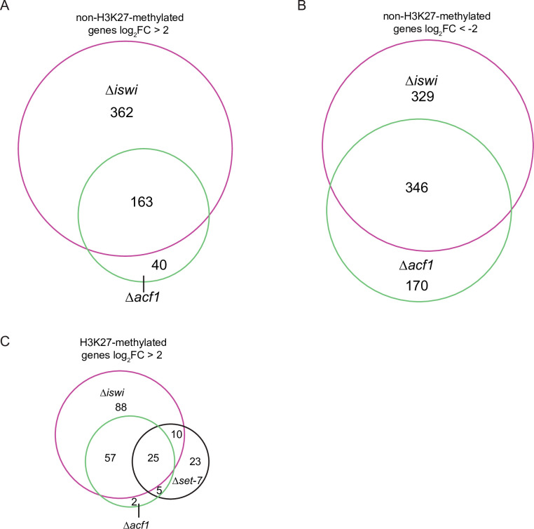 Figure 2—figure supplement 2.