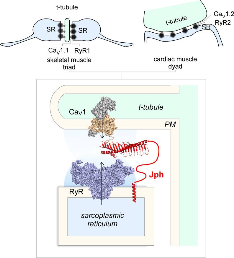 Fig. 1.