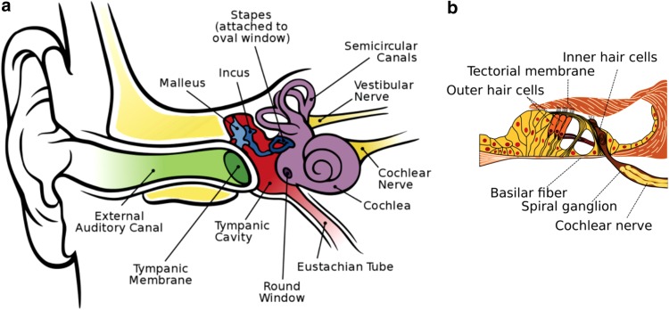 FIG. 1.