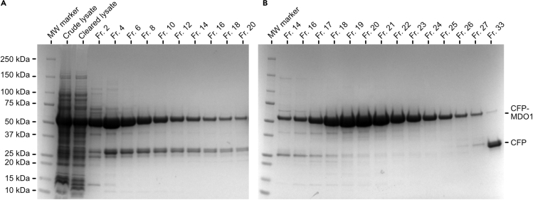 Figure 1