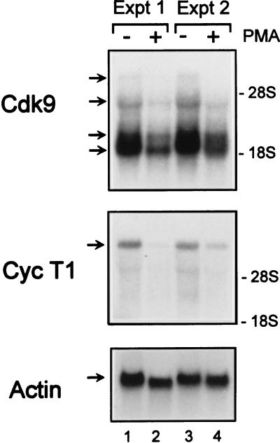 FIG. 7