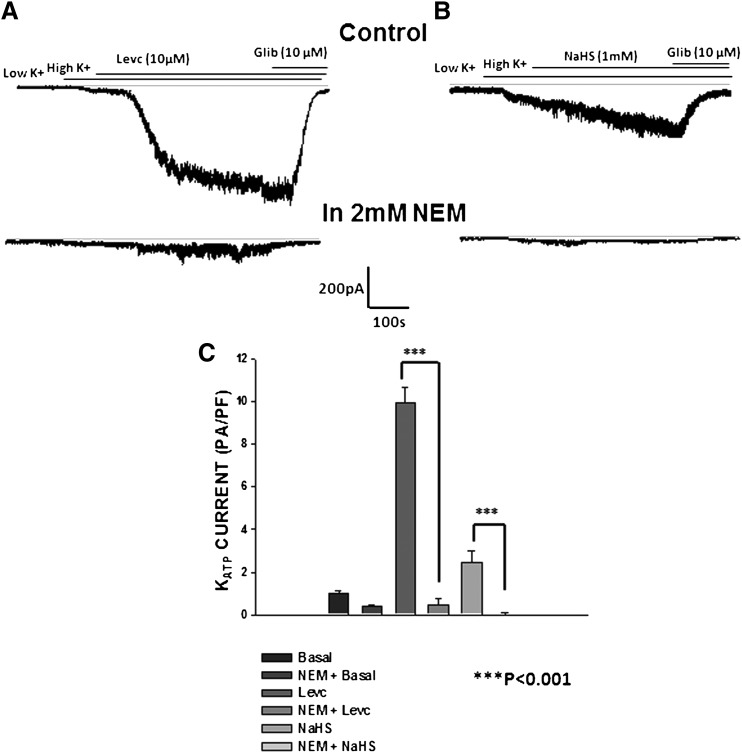 Fig. 9.