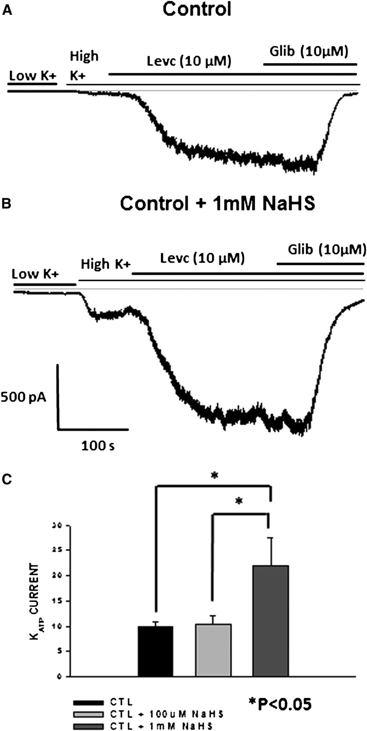 Fig. 8.