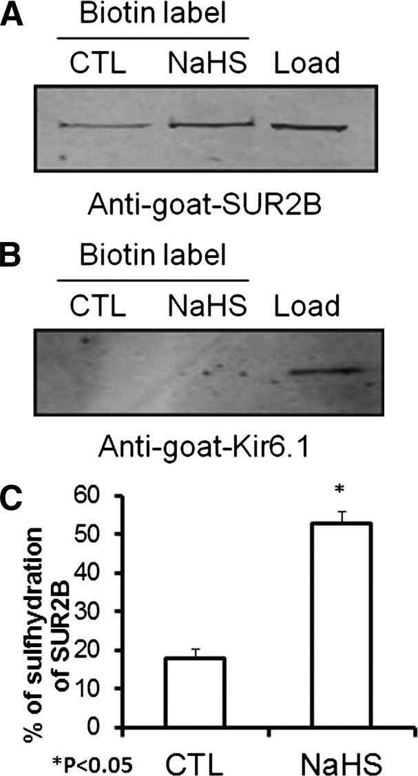 Fig. 11.