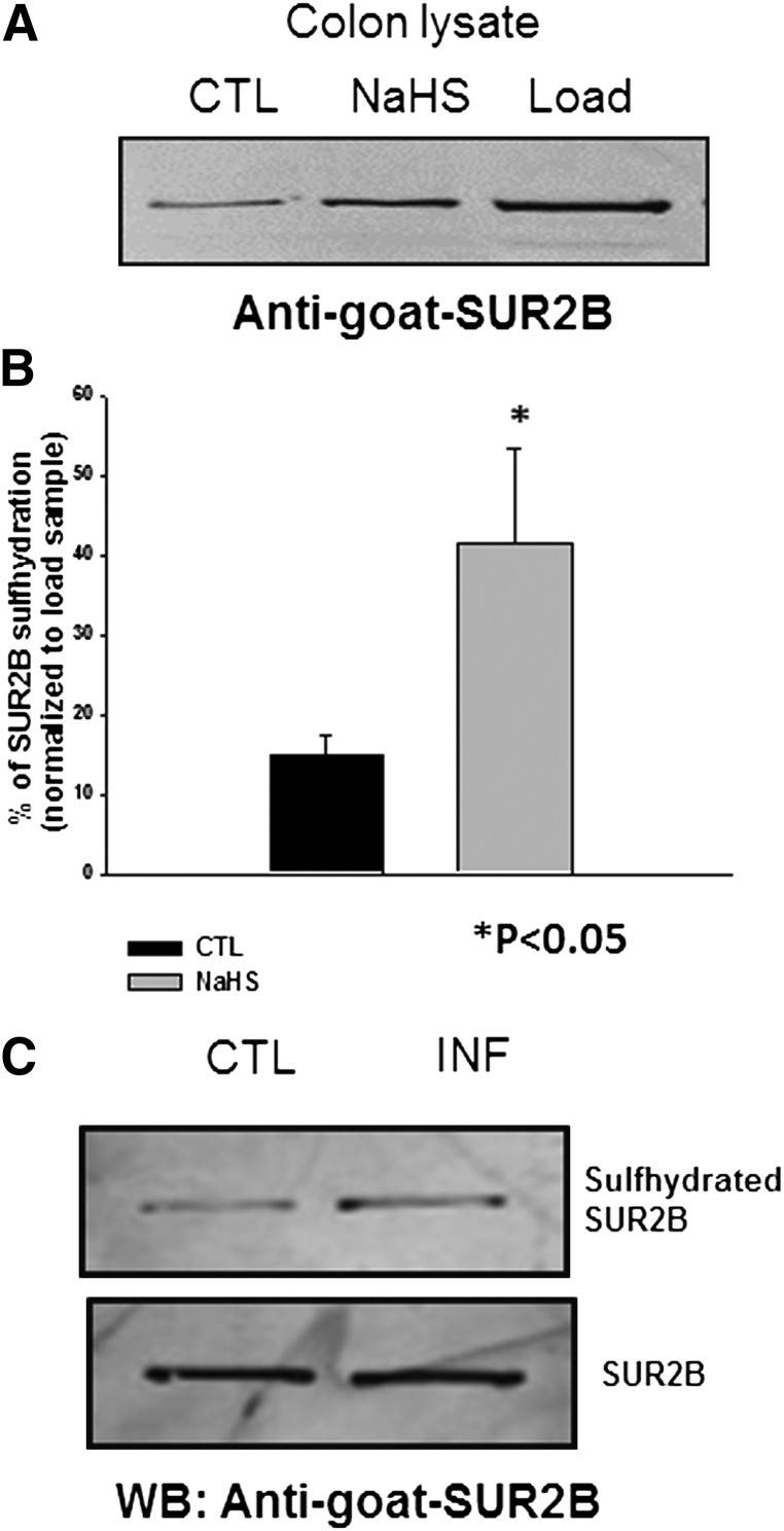 Fig. 10.