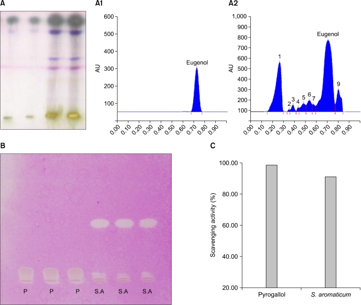 Figure 6.