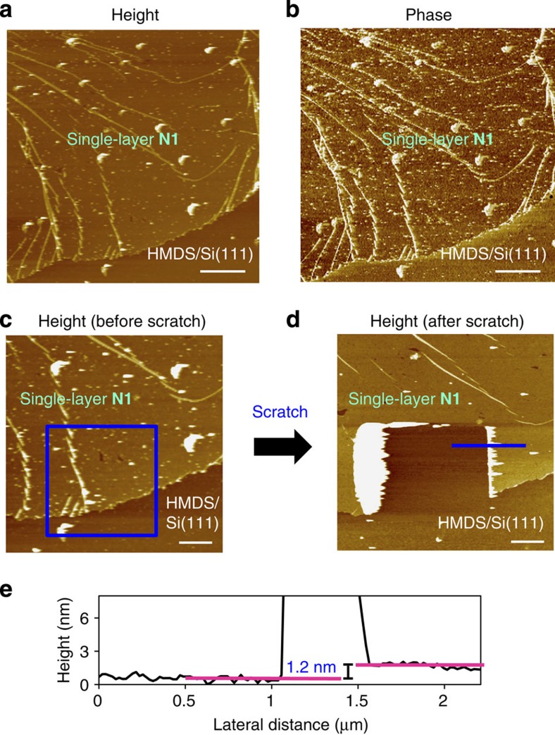 Figure 5