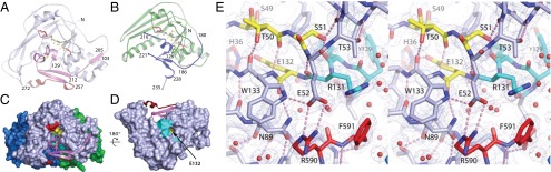 Fig. 4.