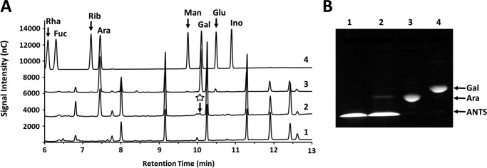 Figure 4.