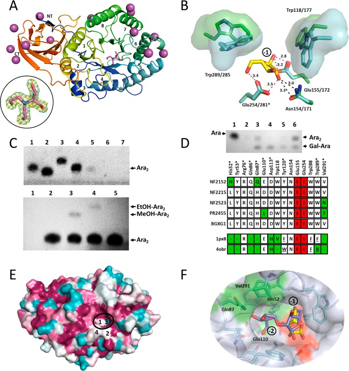 Figure 6.