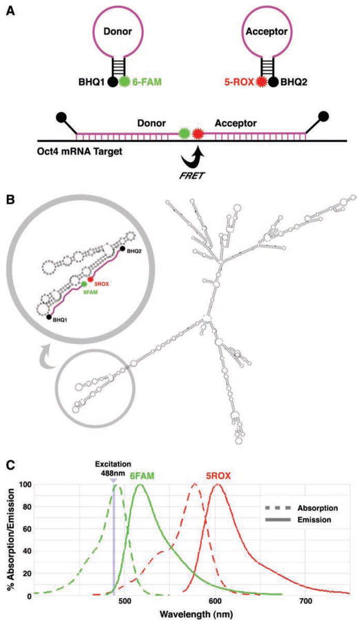 FIG. 1