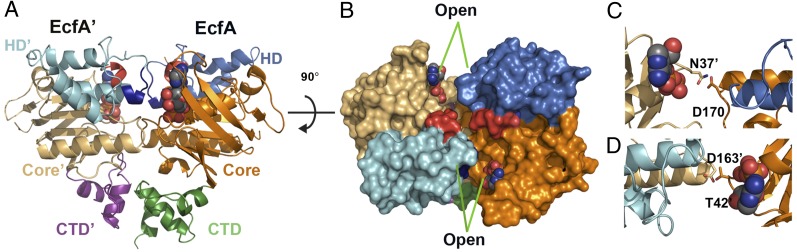 Fig. 2.