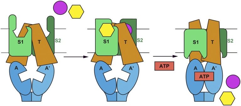 Fig. 5.