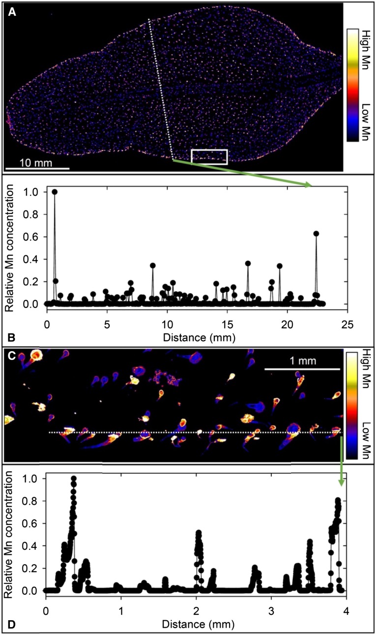 Figure 6.