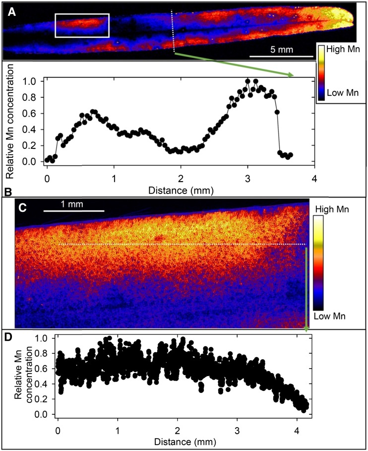 Figure 5.