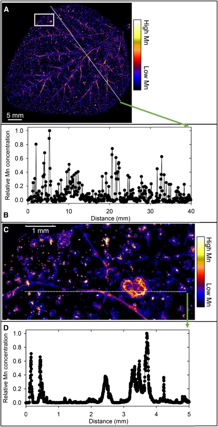 Figure 2.