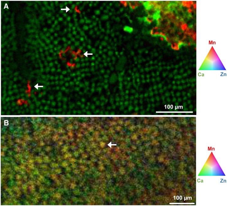 Figure 3.