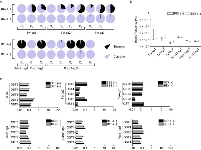 Figure 2