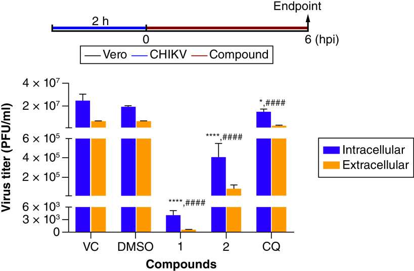 Figure 4. 