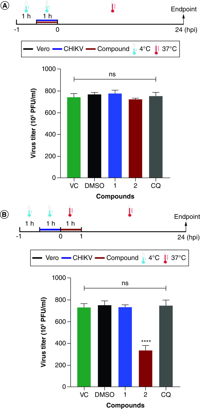 Figure 3. 