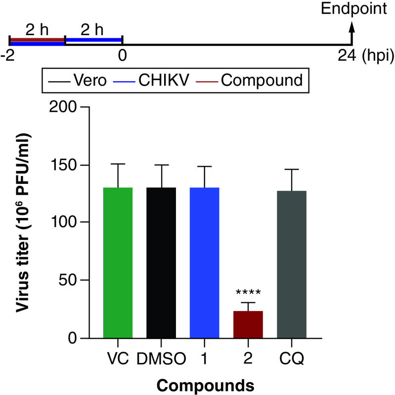 Figure 5. 