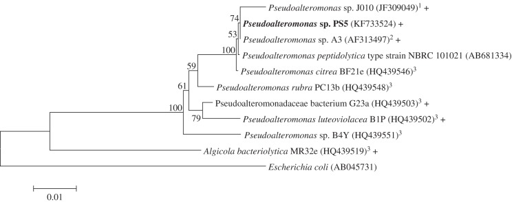 Figure 4.