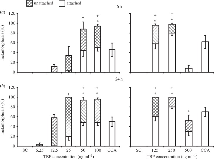 Figure 7.