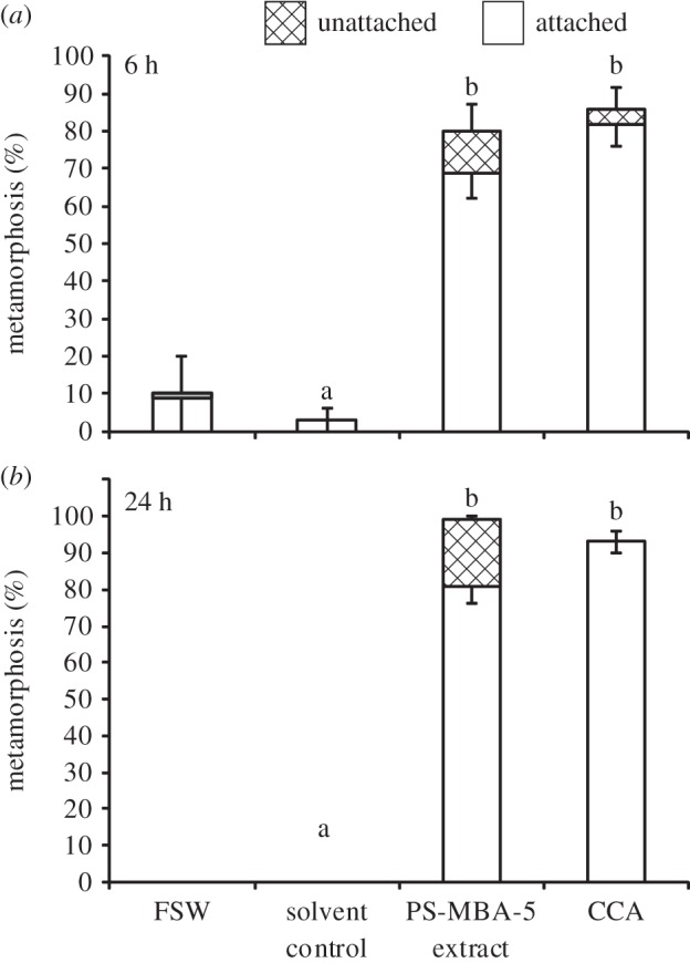 Figure 5.